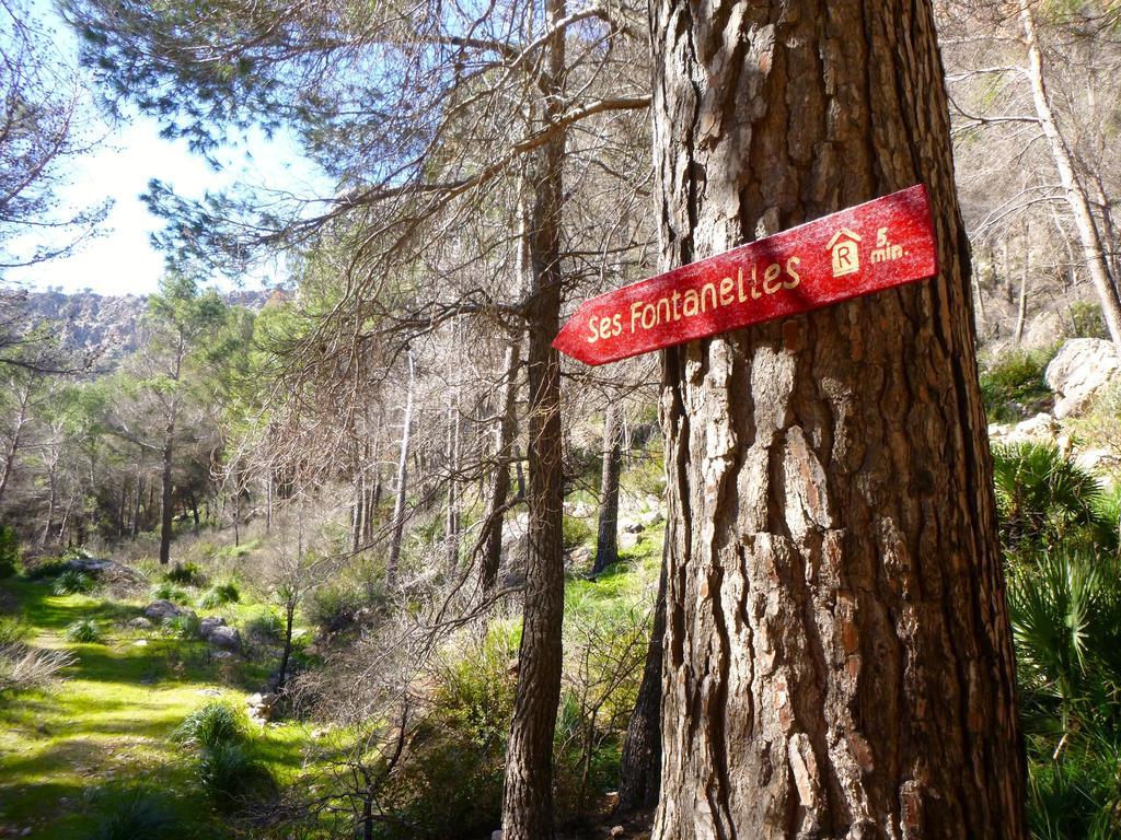 Finca Ses Fontanelles Hotel Andratx Exterior photo