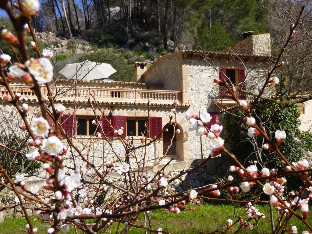 Finca Ses Fontanelles Hotel Andratx Exterior photo